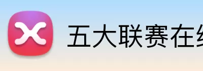 五大联赛在线平台 logo